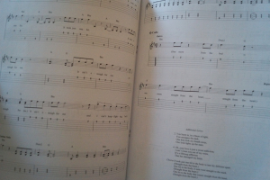 Rolling Stones - Easy Guitar Collection Songbook Notenbuch Vocal Easy Guitar