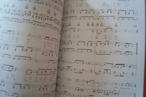 Eva Cassidy - Somewhere Songbook Notenbuch Piano Vocal Guitar PVG