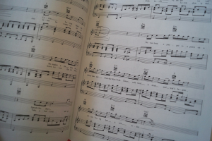 Elton John - Piano Play along (mit Audiocode) Songbook Notenbuch Piano Vocal Guitar PVG