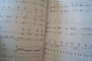 Diana Krall - The Very Best of Songbook Notenbuch Piano Vocal Guitar PVG