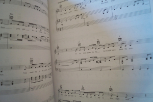 Billie Eilish - Don´t smile at me Songbook Notenbuch Piano Vocal Guitar PVG