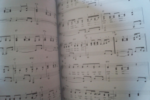 Adele - 17 Hit Songs (Best of) Songbook Notenbuch Easy Piano Vocal