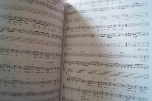 Green Day - Bass Anthology Songbook Notenbuch Vocal Bass