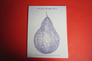 M People - Bizarre Fruit Songbook Notenbuch Piano Vocal Guitar PVG