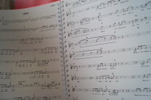 Leadsheets The Red Book Songbook Notenbuch Vocal Guitar