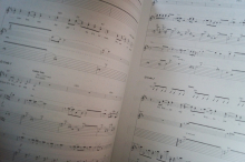 Sponge - Wax ecstatic Songbook Notenbuch Vocal Guitar