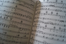 Paul Simon - Early & Solo Years Songbooks Notenbücher Piano Vocal Guitar PVG