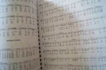 The Celtic Fake Book (C-Edition) Songbook Notenbuch C-Instrumente