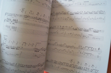 Stevie Ray Vaughan - Lightnin Blues 1983-1987 (2nd Edition) Songbook Notenbuch Vocal Guitar