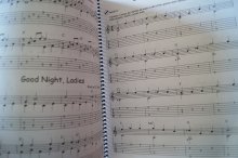 101 Easy Fingerstyle Guitar Solos (mit CD) Gitarrenbuch