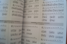 Guitar Navigation System Gitarrenbuch