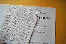 Tui sunt Coeli (Haydn)