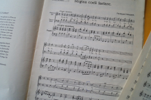 Regina coeli laetare in C (Schubert)