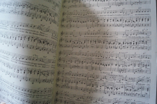 Oldies Standards Evergreens Heft 30 plus Beiheft C-Stimme Notenheft