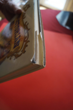 The Illustrated Victorian Songbook (Hardcover mit SU) Songbook Notenbuch Piano Vocal Guitar PVG