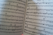 Swing (The Ultimate Collection) Songbook Notenbuch Piano Vocal Guitar PVG