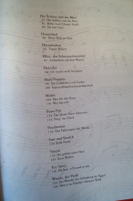 Das große Disney Songbuch Songbook Notenbuch Piano Vocal Guitar PVG