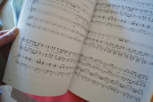 Hundertwasser-Musical (Konstantin Wecker) Songbook Notenbuch Piano Vocal Guitar PVG