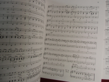 Buddy Holly-Story (mit Grifftabellen) Songbook Notenbuch Piano Vocal Guitar PVG