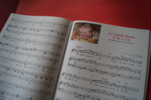 Disney Songs (The Illustrated Treasury of, updated) Songbook Notenbuch Piano Vocal Guitar PVG