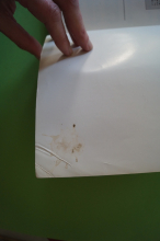 Mängelexemplar: Green Day - Dookie Songbook Notenbuch für Bands (Transcribed Scores)