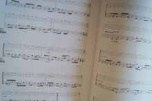 Hip-Hop Grooves for Bass (mit CD) Bassbuch