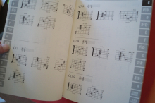 The Black Book: Instant Guitar Chords Gitarrenbuch