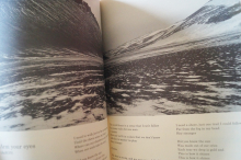 AaRON - Birds in The Storm Songbook Notenbuch Piano Vocal Guitar PVG