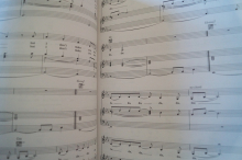Cranberries - No Need To Argue Songbook Notenbuch Piano Vocal Guitar PVG