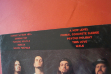 Pantera - Vulgar Display / Cowboys from Hell Songbook Notenbuch Vocal Guitar