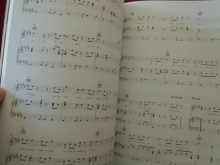 Lily Allen - It´s not me, it´s you Songbook Notenbuch Piano Vocal Guitar PVG