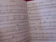 Spider Murphy Gang - Wahre Liebe Songbook Notenbuch Piano Vocal Guitar PVG