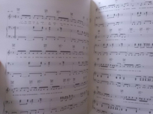 De Palmas - La Beauté du Geste Songbook Notenbuch Piano Vocal Guitar PVG