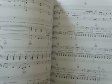 Robbie Williams - Rudebox Songbook Notenbuch Piano Vocal Guitar PVG