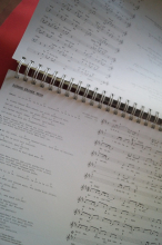 Das Ding mit Noten (Band 2) Songbook Notenbuch Vocal Guitar