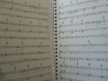 Bodo Wartke - Ich denke also sing ich Songbook Notenbuch Piano Vocal Guitar PVG