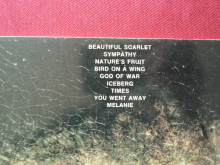 Rare Bird - Rare Bird Songbook Notenbuch Piano Vocal Guitar PVG