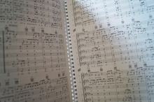 Wise Guys - Wo der Pfeffer wächst Songbook Notenbuch Vocal Guitar