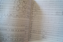 Red Hot Chili Peppers - Stadium Arcadium Songbook Notenbuch für Bands (Transcribed Scores)