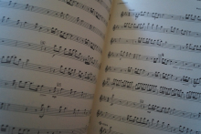 Neil Diamond - 12 Greatest Hits Volume 2 Songbook Notenbuch Flute Piccolo C-Instruments