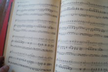 Rolling Stones - Songbook (Hardcover mit Beilage) Songbook Notenbuch Piano Vocal Guitar PVG
