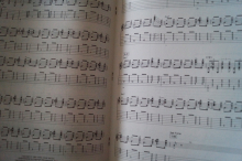 Stevie Ray Vaughan - Signature Licks (mit CD) Songbook Notenbuch Guitar