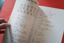 The Big Acoustic Guitar Chord Songbook Platinum 2 Songbook Vocal Guitar Chords