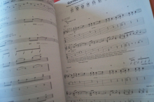 Alternative Rock Collection Songbook Notenbuch Vocal Guitar