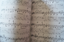 Blind Boy Fuller - Early Masters of American Blues Guitar (mit CD) Songbook Notenbuch Vocal Guitar