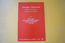 Einzelnoten: Lustige Zigeuner (Steffen)