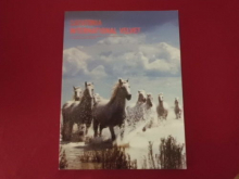 Catatonia - International Velvet Songbook Notenbuch Piano Vocal Guitar PVG