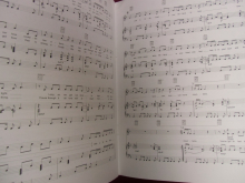 Celine Dion - Songbook Songbook Notenbuch Piano Vocal Guitar PVG