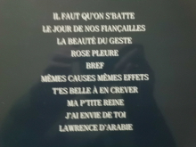 De Palmas - La Beauté du Geste Songbook Notenbuch Piano Vocal Guitar PVG